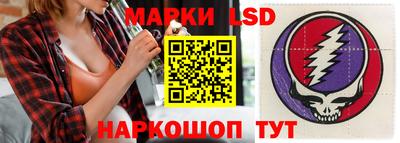 стафф Будённовск
